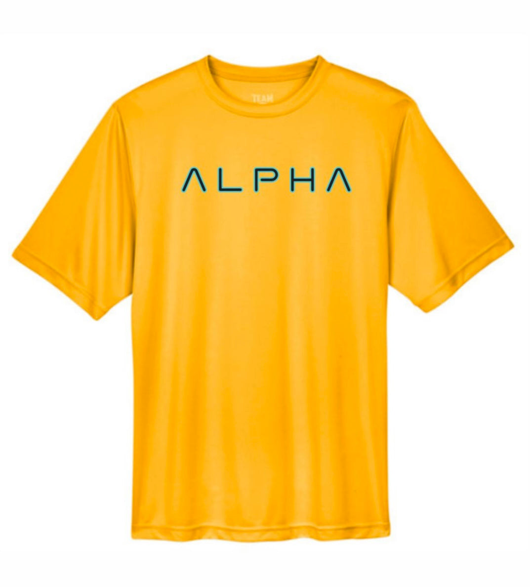 Alpha Dri-fit T-Shirt